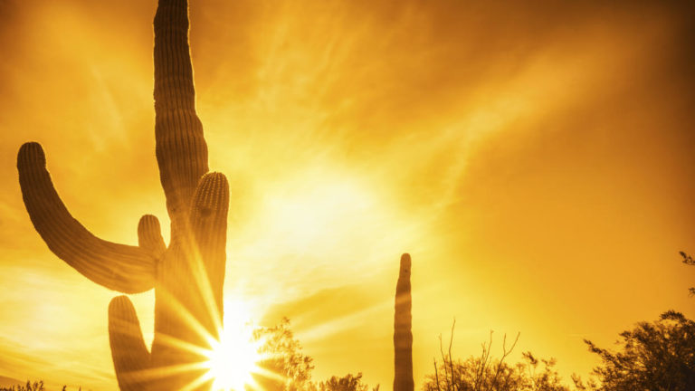 ¡Calor infernal! Torreón tiene un mes con clima extremo