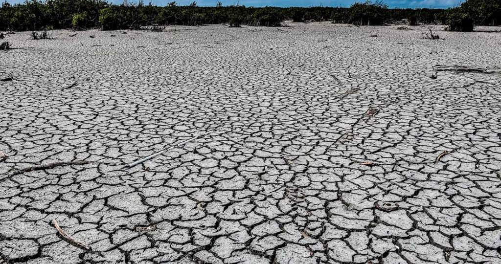 Casi en todo Coahuila se presenta algún grado de sequía​