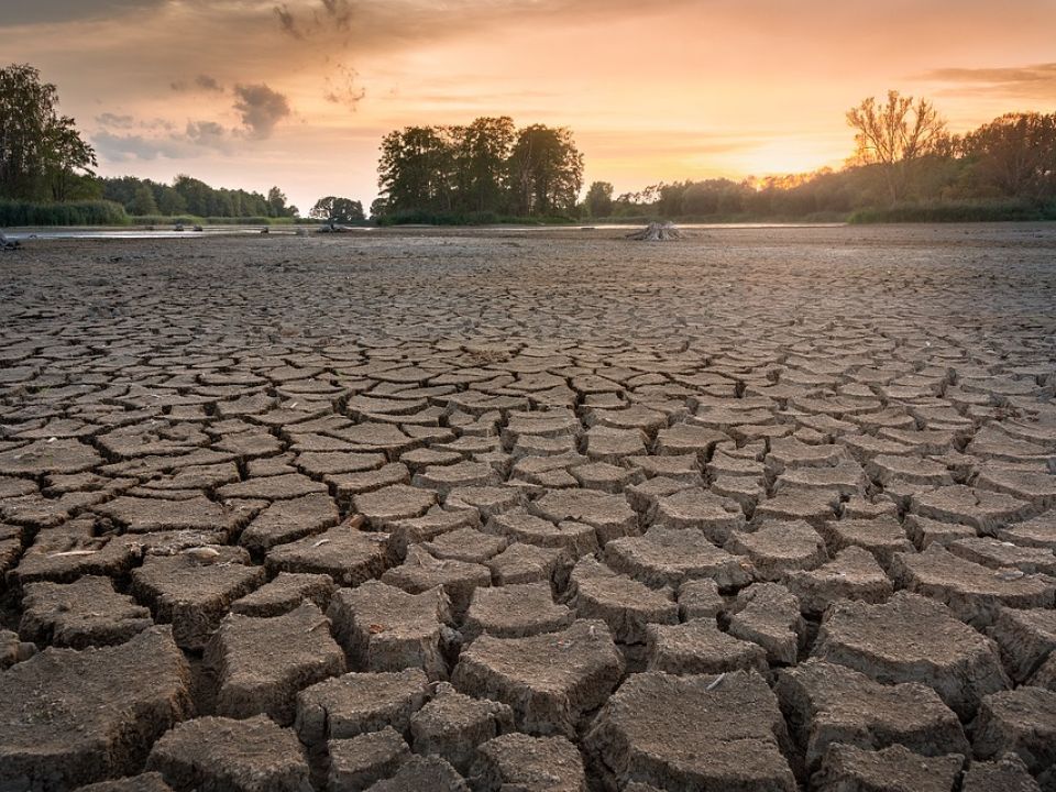 El 75 por ciento de la población sufrirá sequía en 30 años: ONU